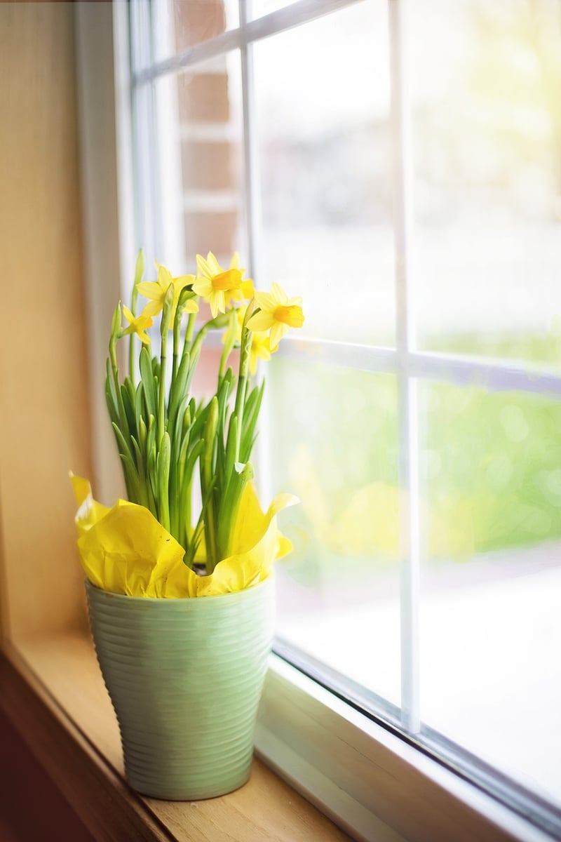 DIY Planters
